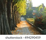 Golden Path