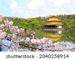 The Golden Pavilion (Kinkaku-ji Temple) and blooming sakura in Rokuon-ji complex (Deer Garden Temple), Kyoto, Japan. UNESCO world heritage site. Japanese hanami festival. Cherry blossoming season