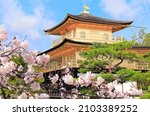 The Golden Pavilion (Kinkaku-ji Temple), blooming sakura in Rokuon-ji complex (Deer Garden Temple), Kyoto, Japan. UNESCO world heritage site. Japanese hanami festival. Cherry blossoming season in Asia