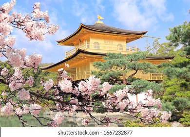 The Golden Pavilion (Kinkaku-ji Temple) and blooming sakura in Rokuon-ji complex (Deer Garden Temple), Kyoto, Japan. UNESCO world heritage site. Japanese hanami festival. Cherry blossoming season - Powered by Shutterstock