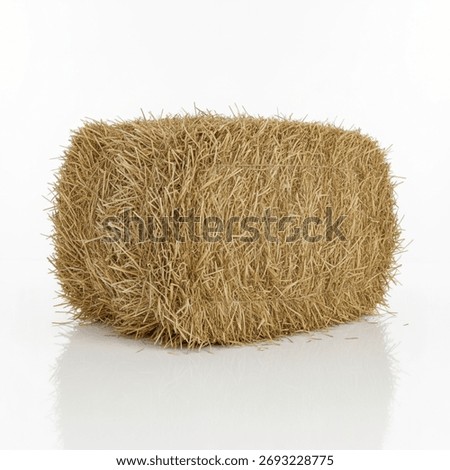 Golden Rectangular Hay Bale Isolated on White Background