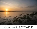 Golden reflection on the Magdalena river at dawn. Colombia.