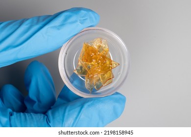 Golden Resin Cannabis, Marijuana Drugs Weed With High Thc.