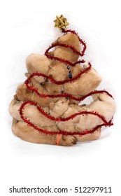 Golden Retreiver Puppies Sleeping On While Background Covered In Tinsel And Shaped Like A Christmas Tree