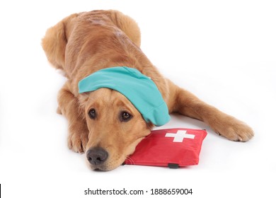 Golden Retriever Dog With Medical Costume And Emergency Kit Lying On White Background Isolated