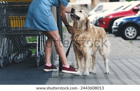 Golden retriever dog on leash and pretty girl sitting at street near supermarket. Purebred pet doggy and young woman together outdoors in city