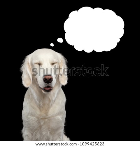 Golden Retriever Dog thinking with closed eyes, in bubble, Isolated on Black Backgrond, front view