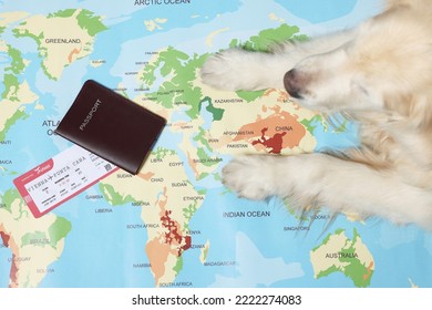 Golden retriever lying near passport and ticket on world map, top view. Travelling with pet - Shutterstock ID 2222274083