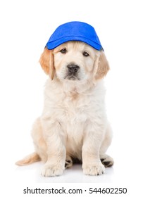 puppy baseball cap