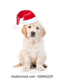 Golden retriever puppy in red christmas hat. isolated on white background