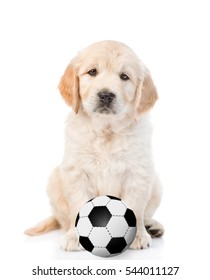 2,926 Puppy football Images, Stock Photos & Vectors | Shutterstock