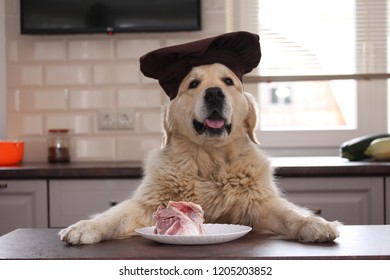 Golden Retriver Eating Bone.
