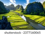 Golden rice season: Tam Coc, Bich Dong, Ninh Binh