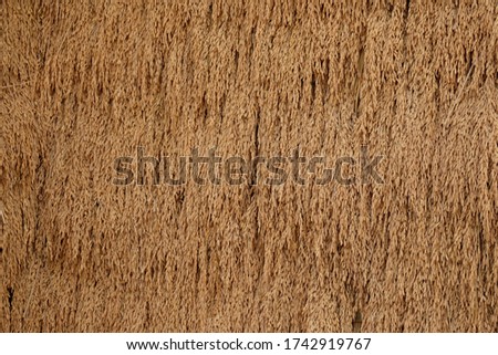 Similar – threshold Floor covering