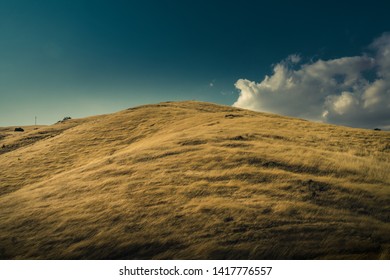 Golden Rolling Hills In Central California.