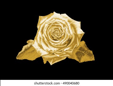 Golden Rose