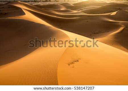 The golden sand dunes of Erg Chebbi near Merzouga in Morocco, Sahara desert, Africa