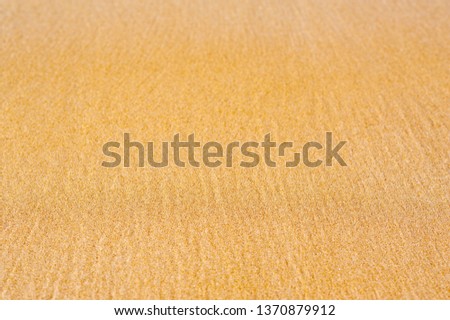 golden sand  on the beach
