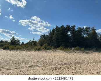 Golden sandy beach with calm blue waters under a clear sky. Gentle waves lap the shore, creating a serene and inviting coastal scene. Perfect for themes of relaxation, travel, and natural beauty. - Powered by Shutterstock