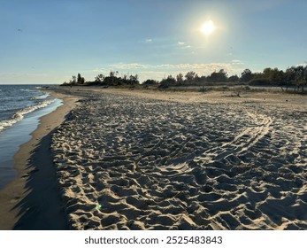 Golden sandy beach with calm blue waters under a clear sky. Gentle waves lap the shore, creating a serene and inviting coastal scene. Perfect for themes of relaxation, travel, and natural beauty. - Powered by Shutterstock