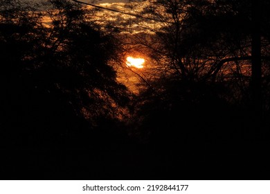 Golden Skies Caught At Sunrise Over The Sonoran Desert In Tucson Arizona.