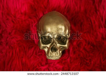 A golden skull lying on a fluffy red fur cushion posing for the camera