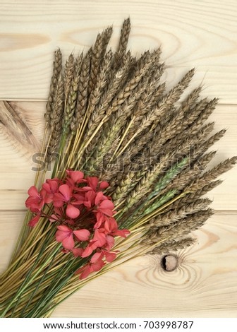 Golden spikelets and geraniums on a light wooden table