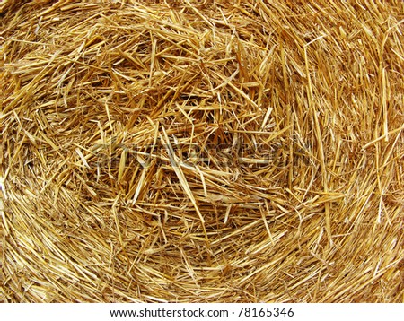 Image, Stock Photo #S# Straw spiral Nature