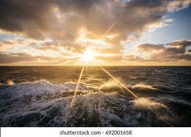 Golden Sun Over The Drake Passage, Antarctica