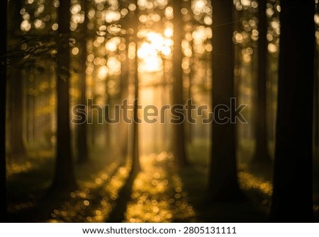 Golden sun rays pierce through the dense canopy of a forest, illuminating the misty air and casting long shadows on the forest floor.