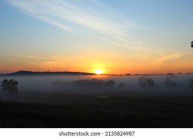 Golden Sun Rise With Fog