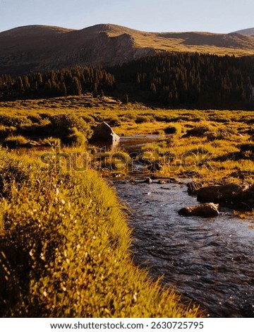 Golden sunlight bathes a tranquil meadow with a gently flowing stream, surrounded by lush greenery and distant mountains. The serene landscape captures the essence of a peaceful, natural retreat.