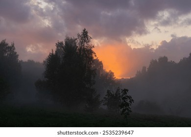 Golden sunlight breaks through a misty forest, creating a peaceful ambiance as dusk approaches. - Powered by Shutterstock