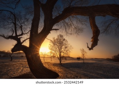 Golden sunlight filters through bare tree branches, casting a warm glow over the snowy landscape at dawn. - Powered by Shutterstock