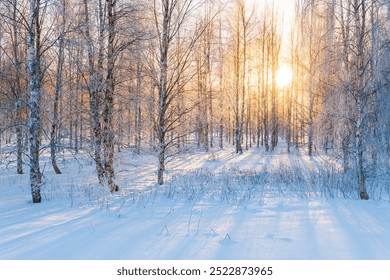 Golden sunlight streams through a tranquil forest blanketed in snow, casting long shadows on the ground, showcasing the beauty of winter in Sweden. - Powered by Shutterstock