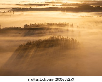Golden sunrise with dramatic sun rays illuminating a foggy forest landscape in Sigulda Municipality, Latvia