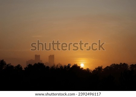 Golden sunrise near the skyscraper building. Sihouette of the trees.