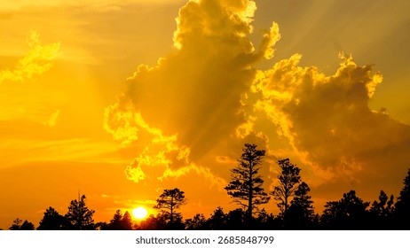 Golden sunset with dramatic clouds and tree silhouettes. Vibrant orange sky with sun rays shining through the clouds, creating a scenic and atmospheric landscape.
