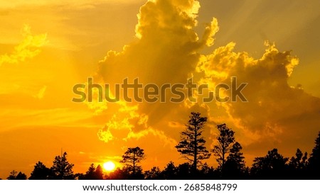 Golden sunset with dramatic clouds and tree silhouettes. Vibrant orange sky with sun rays shining through the clouds, creating a scenic and atmospheric landscape.