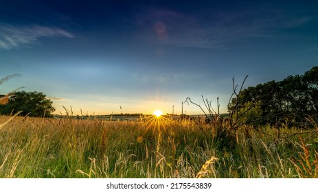 Golden Sunset In High Grass