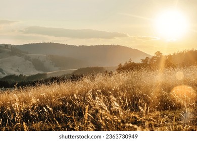 Golden sunset on the mountain, sun rays through the tall dry grass