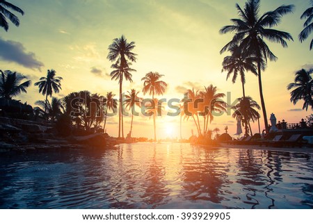 Golden sunset on the sea coast with palm trees reflection in the water.