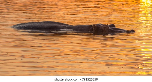 Golden Sunset Over Lake St Lucia Park South Africa