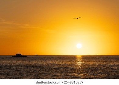 Golden sunset over the ocean with a silhouetted boat and a flying bird, reflecting warm light across the calm water. - Powered by Shutterstock