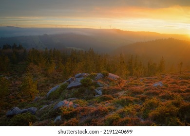 Golden sunset over pine forests and heather covered rocks in Xistral Mountain Range in Abadin Lugo Galicia - Powered by Shutterstock