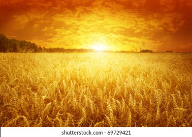 Wheat Field Sunset Images Stock Photos Vectors Shutterstock