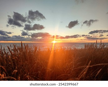 Golden sunset peaking through tall grass blades at the shore - Powered by Shutterstock