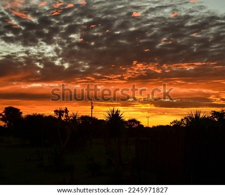 Golden Sunset silhouette landscape in South Africa 