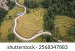 Golden terraced rice fields stretch across a hillside, with a narrow, winding path. A small, simple house sits near the edge, surrounded by lush greenery and tall trees.