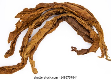 Industry fabrication fermented Tobacco